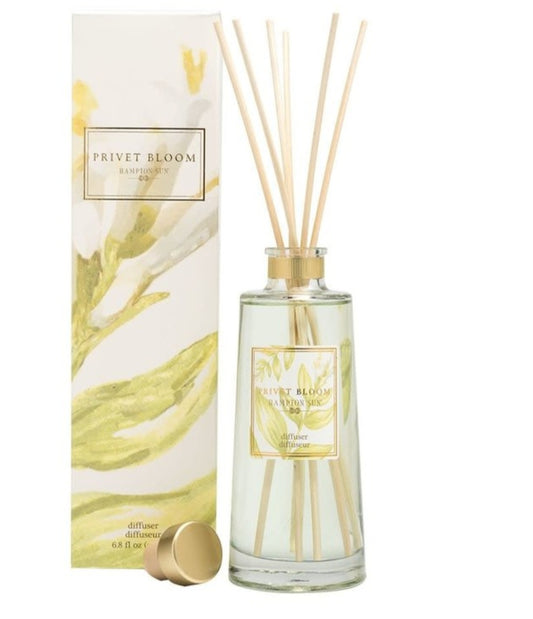 Hampton Sun Privet Bloom Diffuser