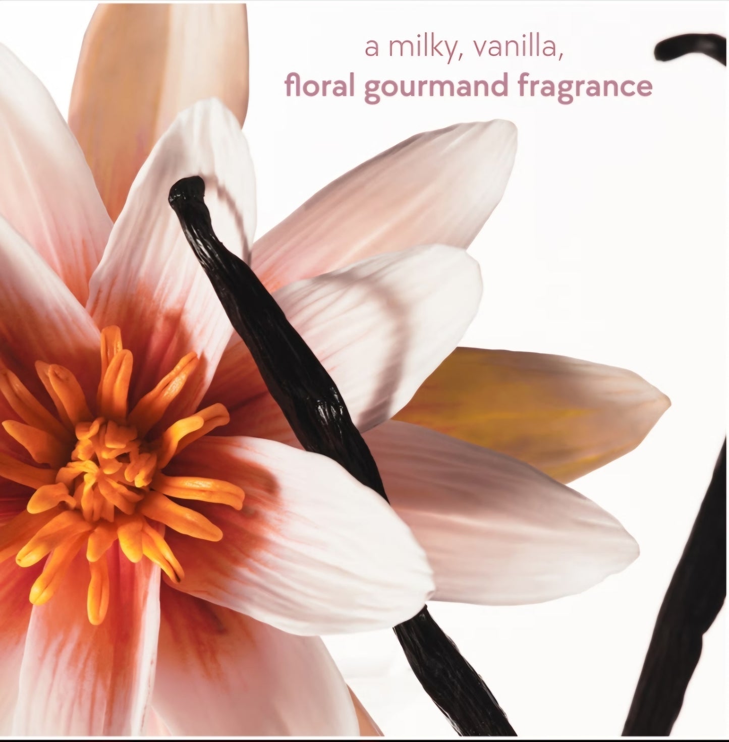 Kylie Cosmetics Vanilla Dew Hair & Body Mist